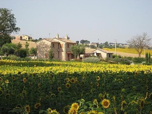 Cascina Del Poeta